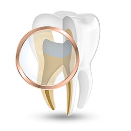 Endodoncie